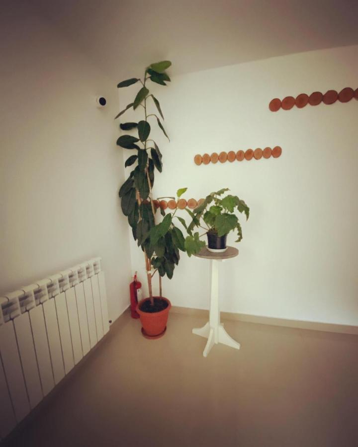 Maison Platanus Voineasa Extérieur photo
