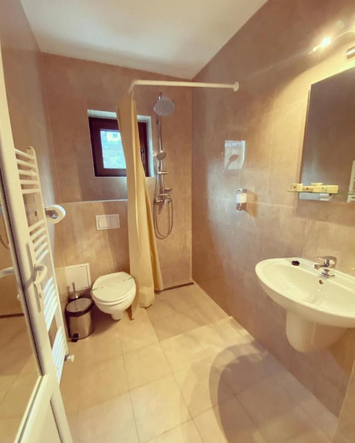 Maison Platanus Voineasa Extérieur photo